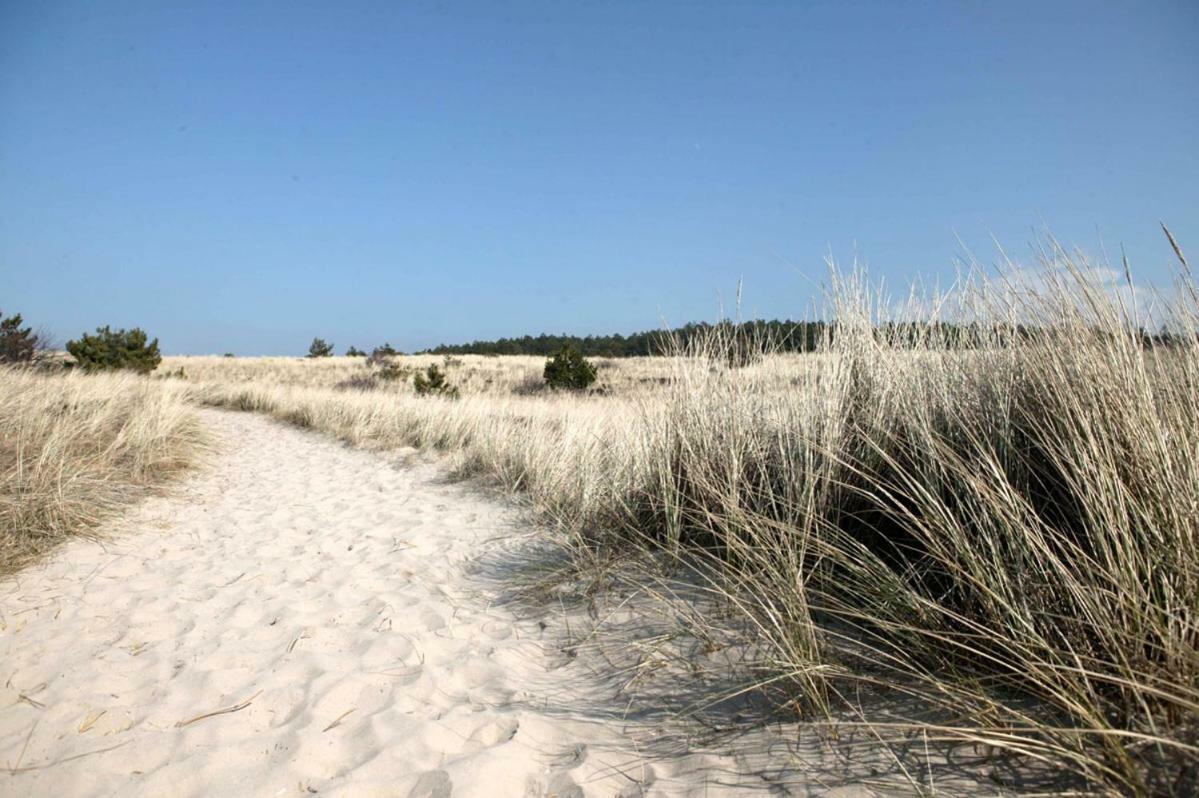 La Tulipe Διαμέρισμα Egmond aan den Hoef Εξωτερικό φωτογραφία